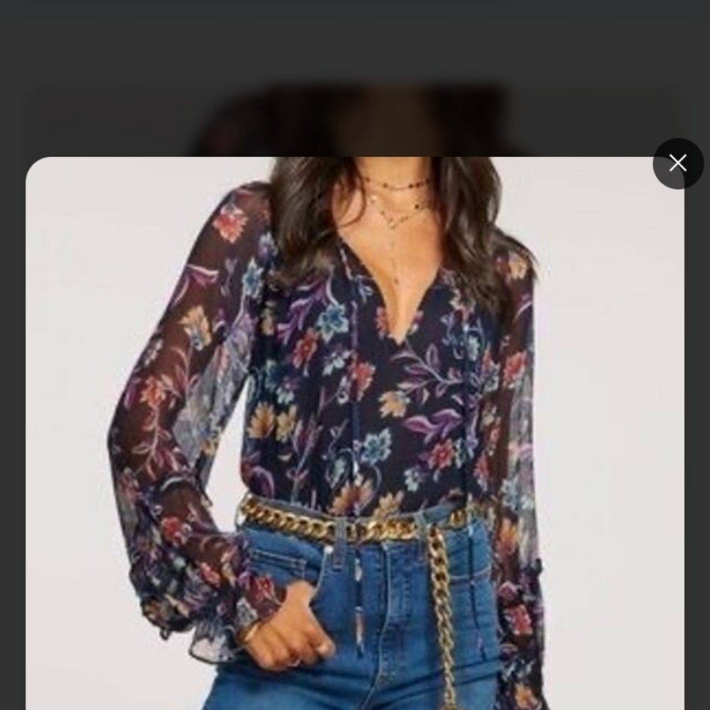 Ramy Brook Multicolor Floral Sheer Blouse